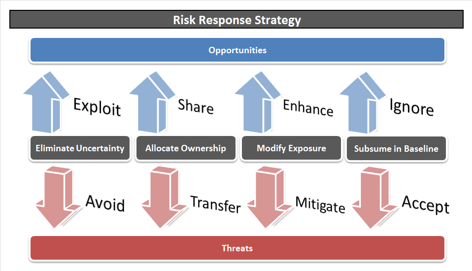 Risk Response Strategy